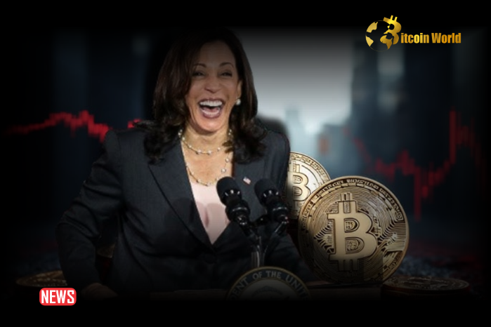 Winklevoss Twins Criticize Kamala Harris After She Was Absent At Crypto Roundtable