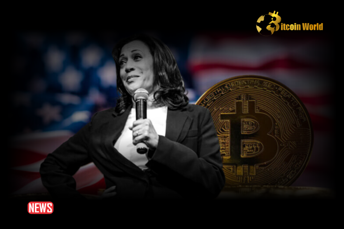 The Digital Chamber Urged VP Kamala Harris To Embrace Digital Assets