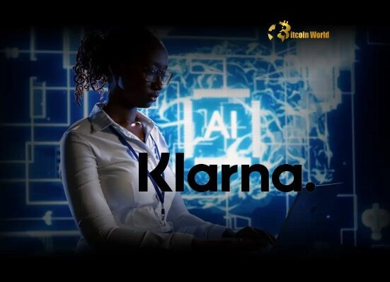Klarna CEO Reveals Brilliant Strategy for AI and Human Service