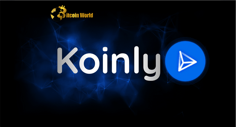 ‘Biggest mistake’ is Not Using Tax Loss Harvesting: Koinly Head of Tax