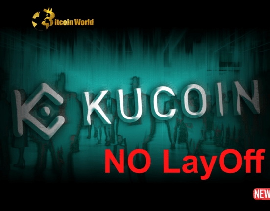 kucoin layoff