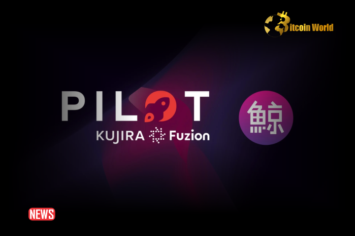 Kujira’s Recovery Plan: Debt Repayment and Future Changes