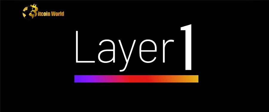 Layer1 CEO Alleges Co-Founder is using Majority Power to 'Ransack' Company