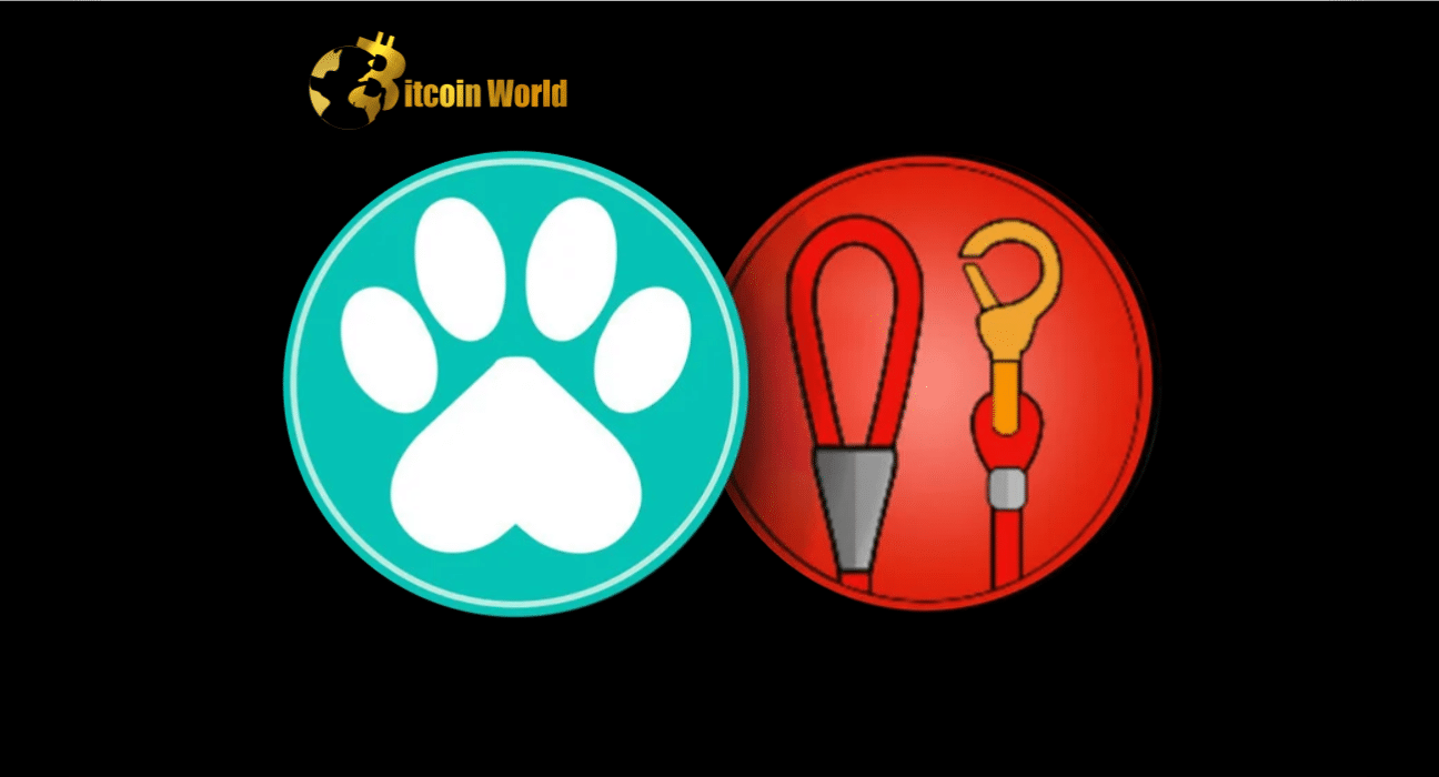 Shiba Inu Ecosystem Tokens LEASH and PAW Listed on Major Singaporean Crypto Exchange