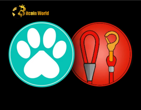 Shiba Inu Ecosystem Tokens LEASH and PAW Listed on Major Singaporean Crypto Exchange