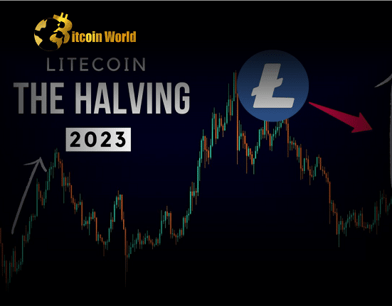 litecoin halving