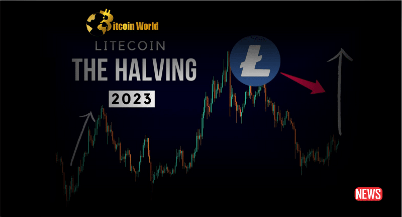 litecoin halving