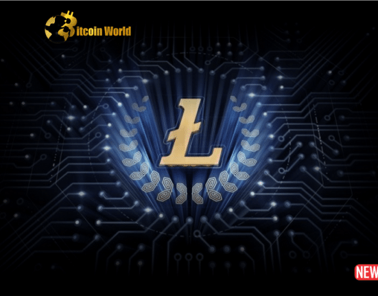 litecoin perfoemance