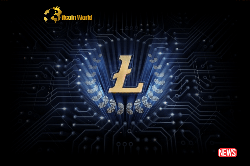 litecoin perfoemance