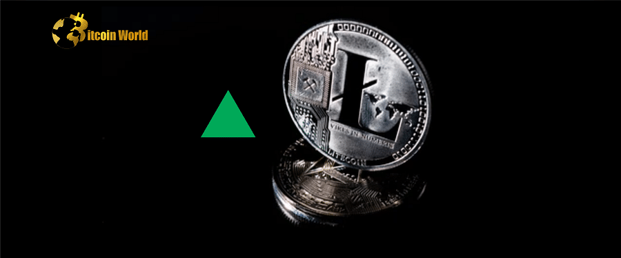 Litecoin Total Addresses Surpass Those of Ethereum After $LTC’s 25% Rally Year-to-Date