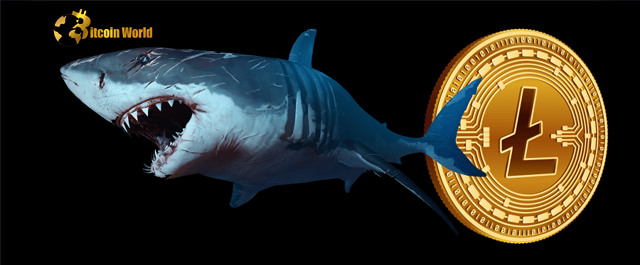 Litecoin Sharks Were Behind $LTC’s Near 90% Surge, Data Suggests