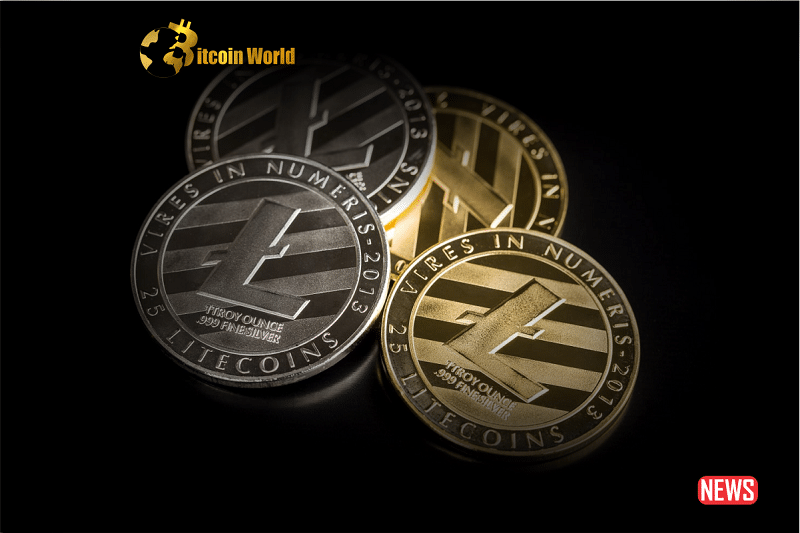 litecoin surge 1