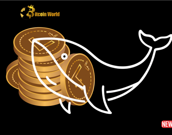 litecoin whale