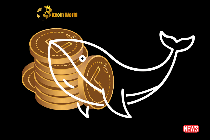 litecoin whale