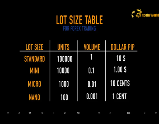 Understanding Forex lot sizes in trading