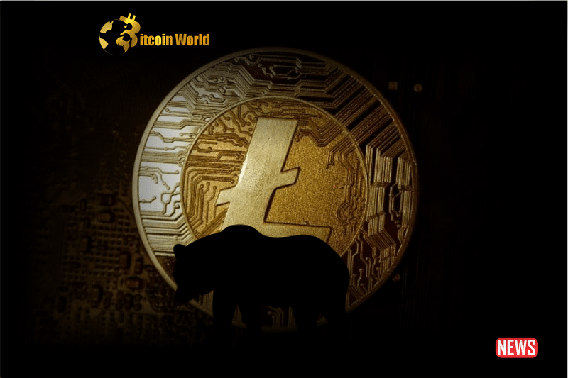 ltc bear