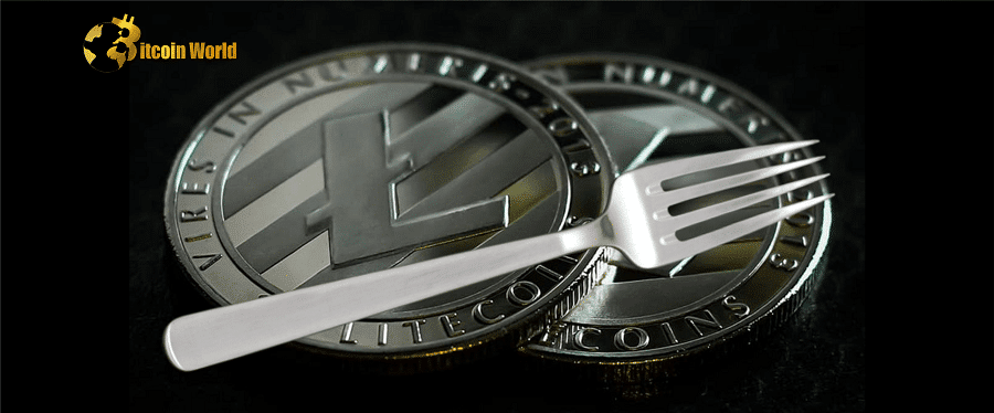 Ordinals Litecoin Fork Took One Week and Was ‘quite simple,’ Says Creator
