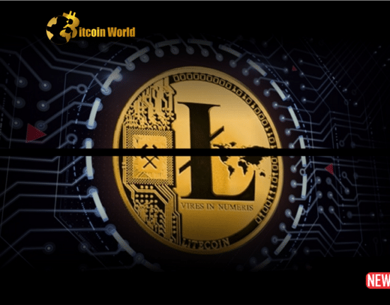 ltc halving 1