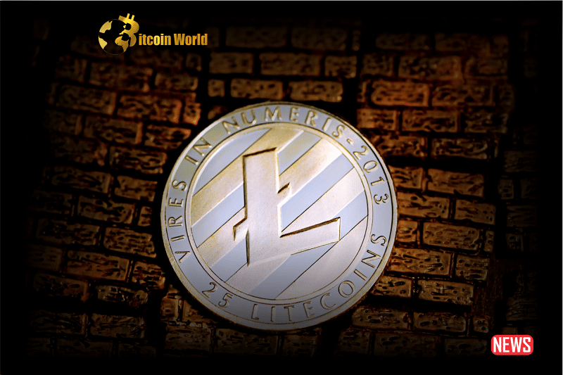 ltc mining rate