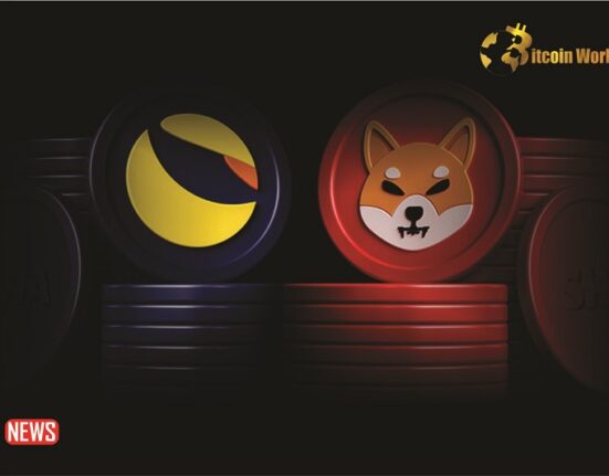 Shiba Inu Or LUNC Burn: Which One Has Had A Better Impact?