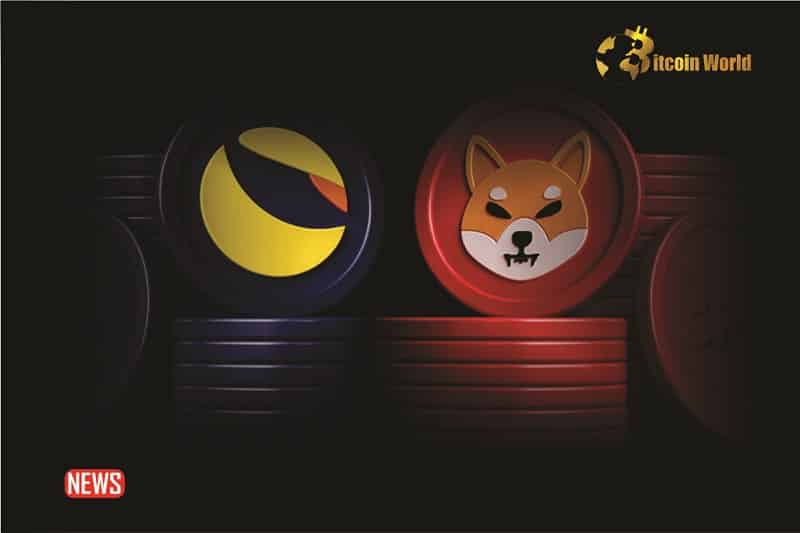 Shiba Inu Or LUNC Burn: Which One Has Had A Better Impact?