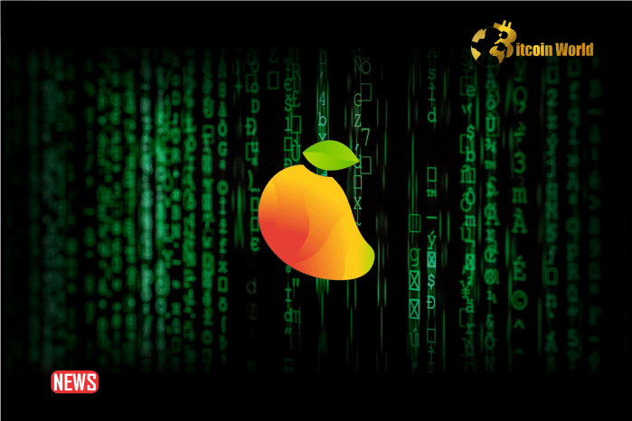 Mango Markets Exploiter Charged with Possession of Child Pornography