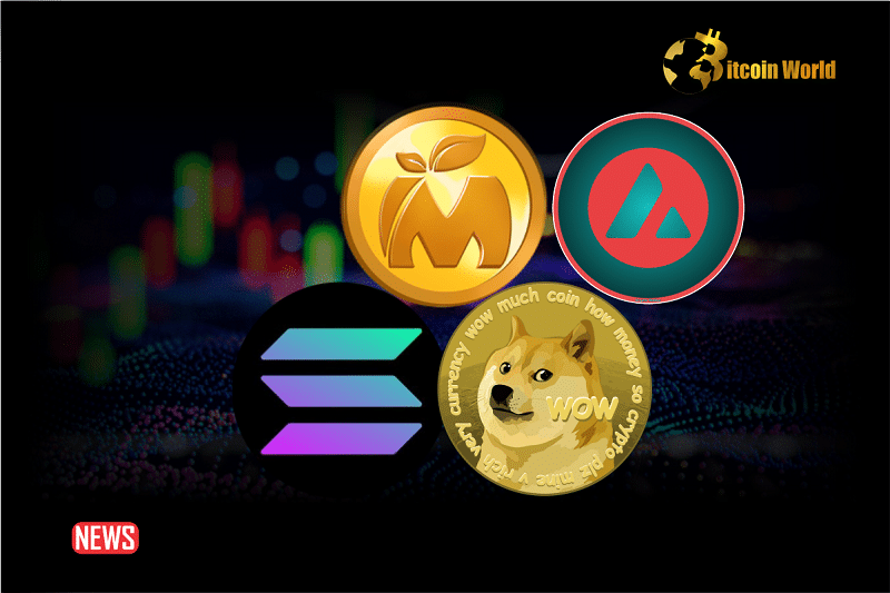 These Cryptocurrencies, SOL, DOGE, AVAX, & Mania Are Set To Explode Before Christmas