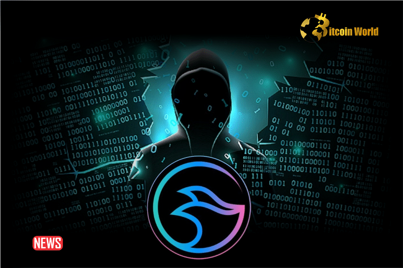 Manta Network Suffers From DDoS Attack