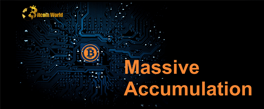 massive accumulation btc