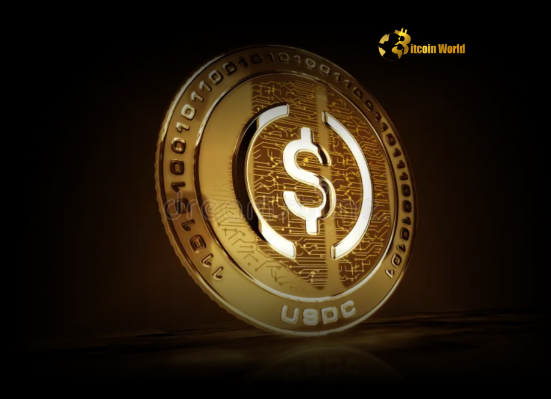 Massive USDC Minted What 250 Million Means for the Crypto Market