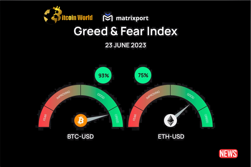 matrixport greed
