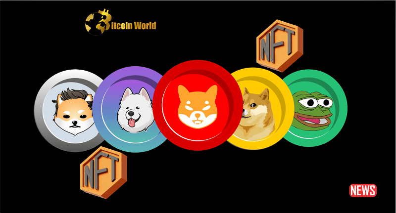 memcoin and nft