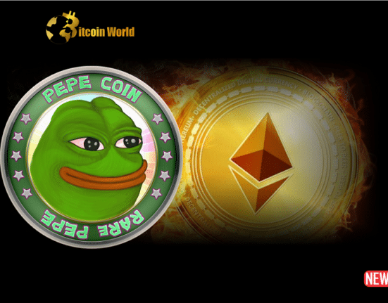 meme coin eth burn rate