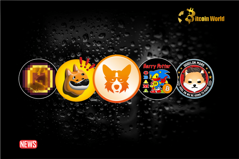 Top 5 Meme Coins That Are Outperforming The Altcoin Rally