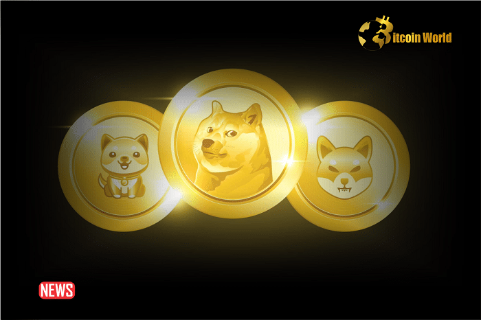 Top 3 Explosive Meme Coins to Watch This Week: Altcoin Season Coming?
