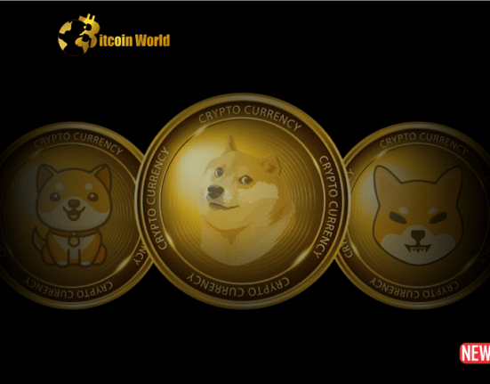 meme coins