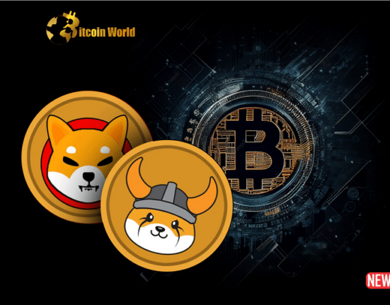 memecoin btc bloc
