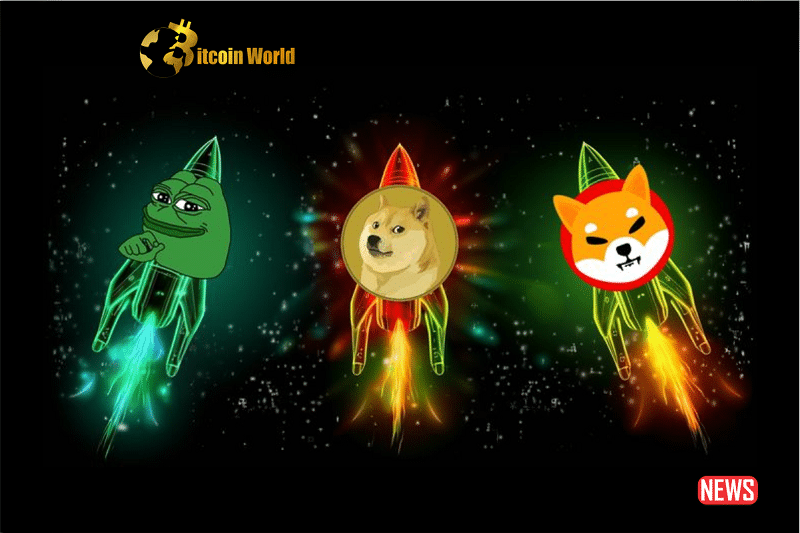 memecoin craze