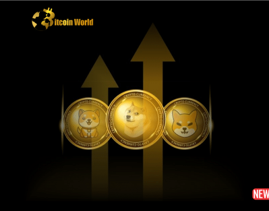 memecoin surge