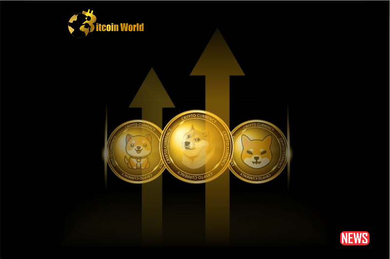 memecoin surge
