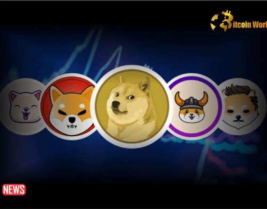 5 Top Meme Coins You Can Invest in 2024 For Good Returns