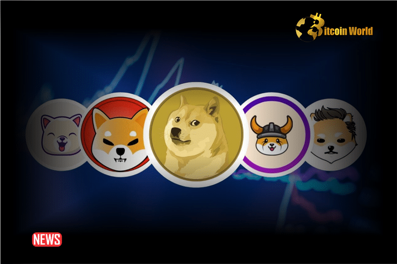 5 Top Meme Coins You Can Invest in 2024 For Good Returns