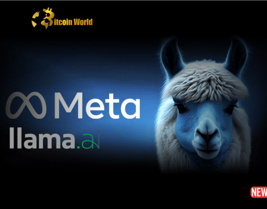 meta llama