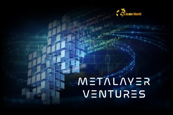 Metalayer Ventures Unleashes $25M Fund to Accelerate Blockchain Startups