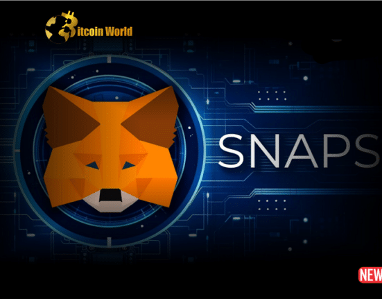 metamask snap