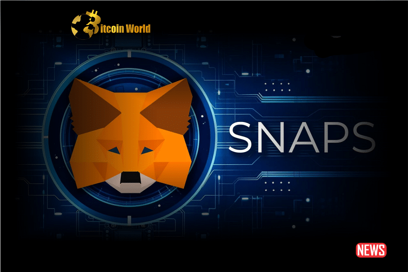metamask snap