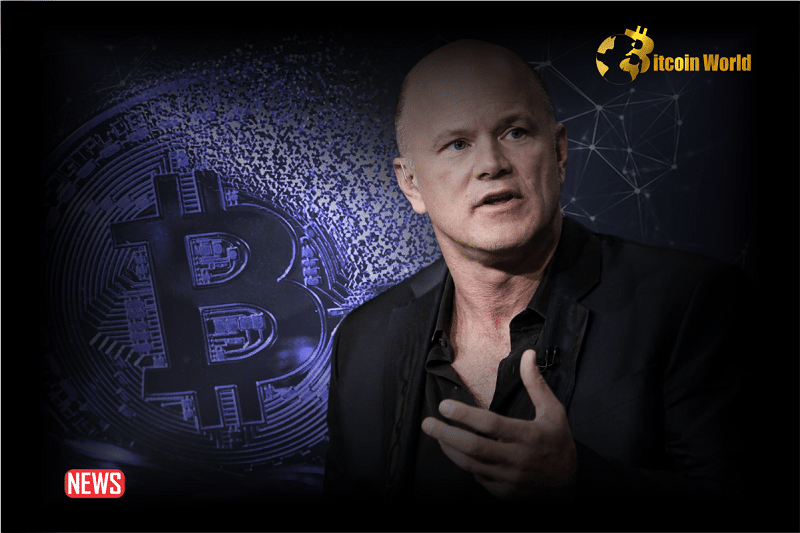 Michael Novogratz Reveals The Reason Behind Bitcoin’s Skyrocketing Prices