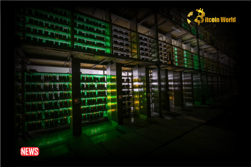 US Government Announces New Probe Into Crypto Mining Operations In The US