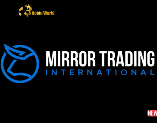 mirror trading