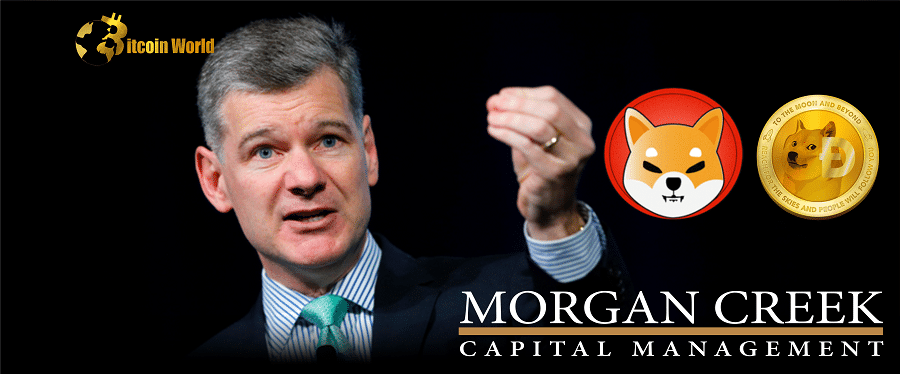 Morgan Creek Capital Management CEO Mark Yusko on Dogecoin ($DOGE) and Shiba Inu ($SHIB)